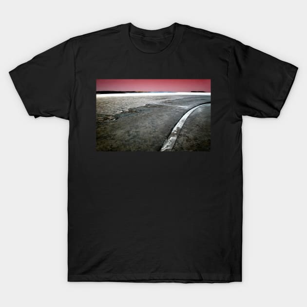 Salt Lake, the Coorong, South Australia T-Shirt by rozmcq